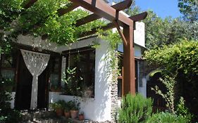 Casa Africa